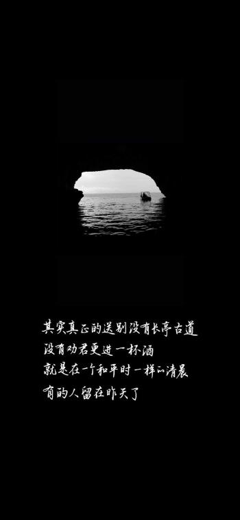 第3张