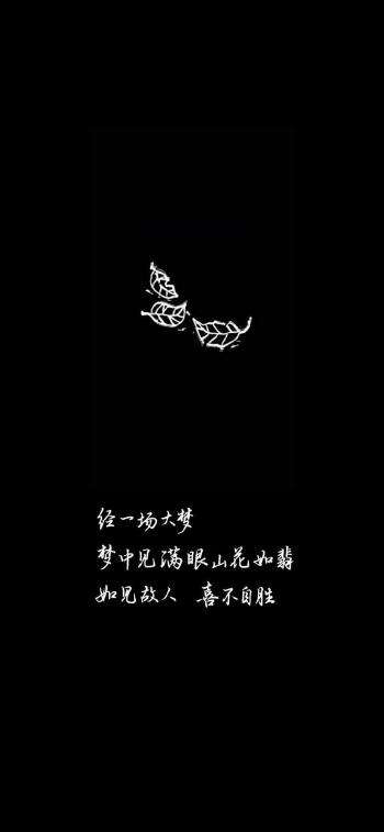 纯黑背景文字控手机壁纸第6张