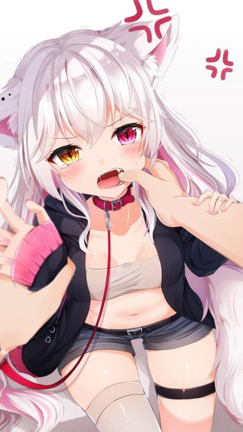 第0张
