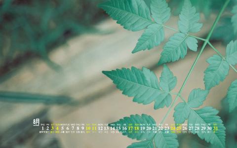 图片 _ 第(6)张