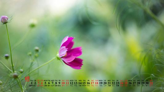 图片 _ 第(4)张