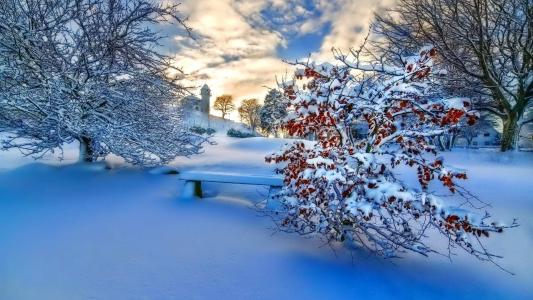 雪景图片 _ 第(11)张