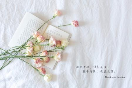 可爱卡通教师节win7高清电脑桌面主题壁纸(二)第1张
