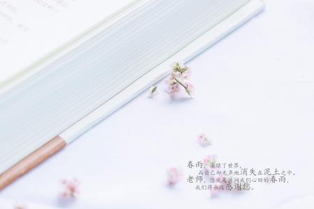 可爱卡通教师节win7高清电脑桌面主题壁纸(二)第2张