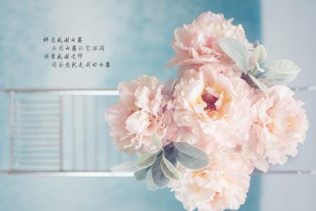 可爱卡通教师节win7高清电脑桌面主题壁纸(二)第6张