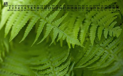 唯美清新绿色植物花卉高清摄影素材图片欣赏第2张