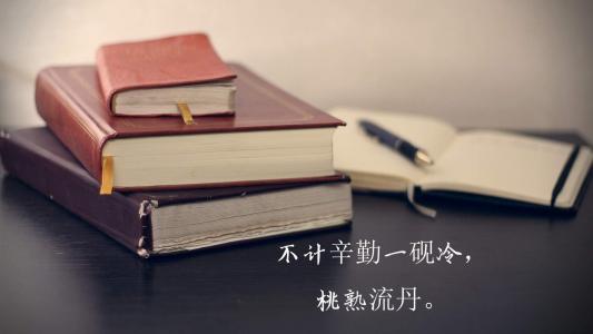 第3张