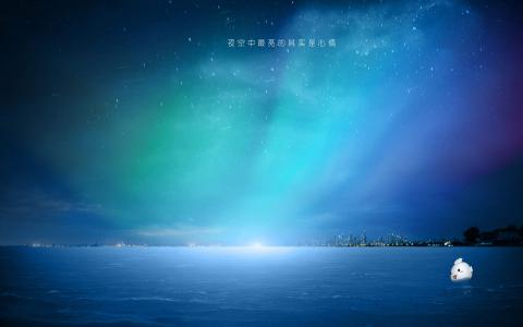 第3张