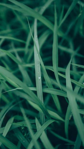 护眼图片 _ 第(9)张
