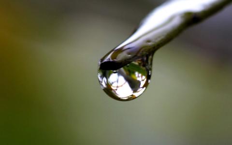 树叶上的露珠高清桌面壁纸第5张