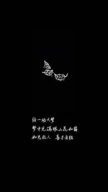纯黑背景文字控手机壁纸第2张