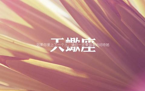 第0张