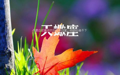第1张