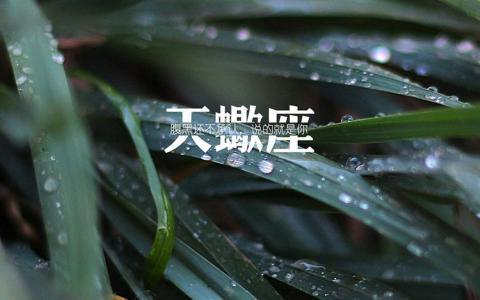 天蝎座图片 _ 第(9)张