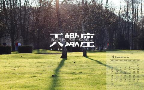 赵丽颖图片 _ 第(8)张