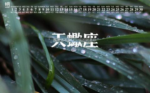 赵丽颖图片 _ 第(9)张