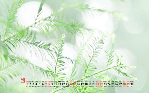清新桌面图片 _ 第(2)张