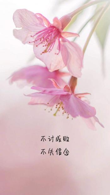唯美意境文字语录图片手机壁纸第4张