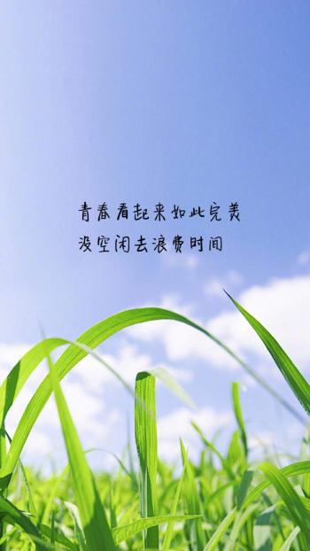 唯美意境文字语录图片手机壁纸第5张