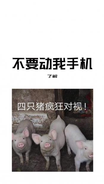 搞笑文字创意图片手机壁纸第4张