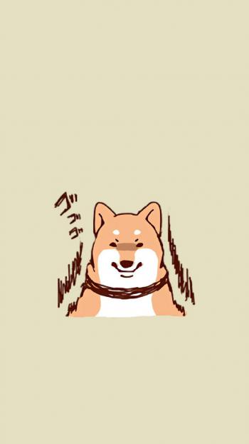 第0张