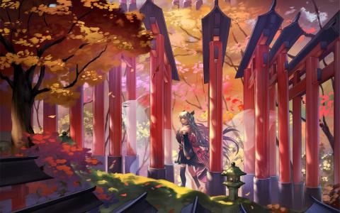 动漫少女图片 _ 第(4)张