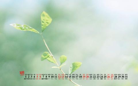 清新桌面图片 _ 第(1)张