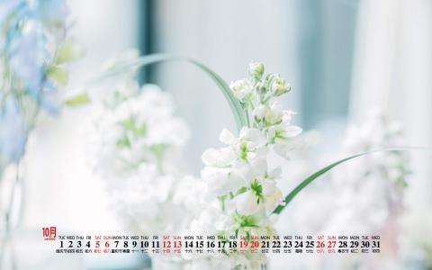 清新桌面图片 _ 第(7)张