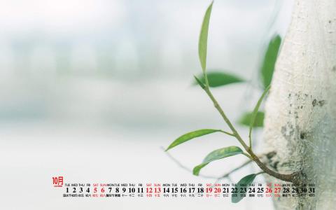 清新桌面图片 _ 第(9)张