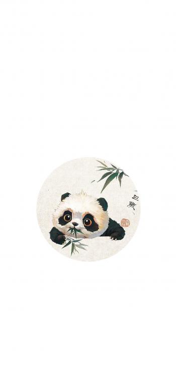 熊猫图片 _ 第(8)张