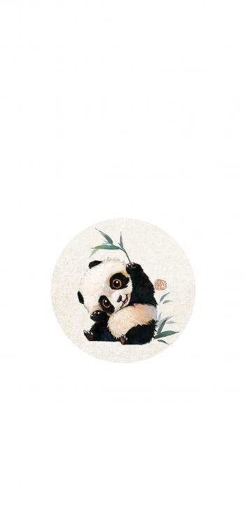 熊猫图片 _ 第(9)张