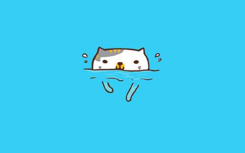 小猫图片 _ 第(8)张