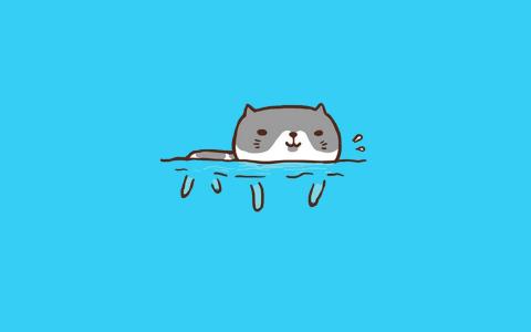 小猫图片 _ 第(9)张