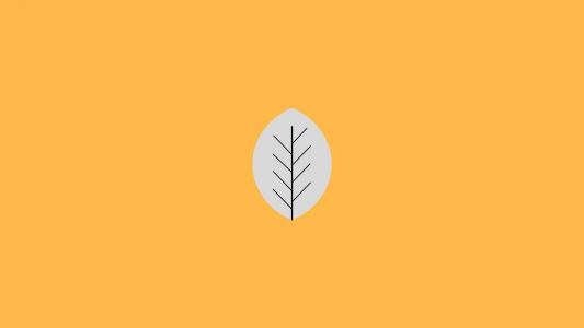 简约纯色背景创意桌面壁纸第3张