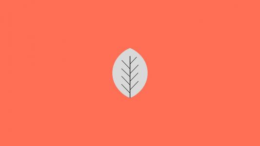 简约纯色背景创意桌面壁纸第4张