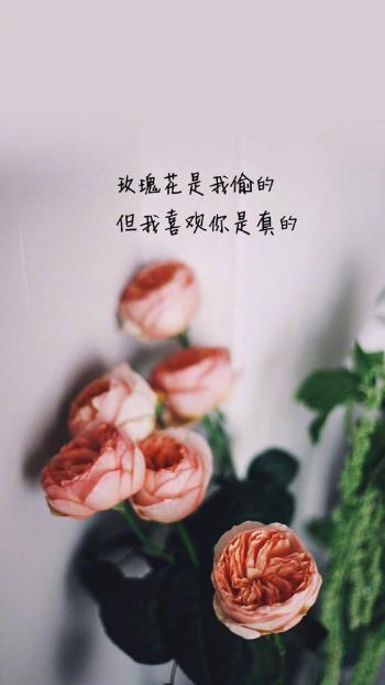 精选唯美伤感文字语录桌面壁纸第1张