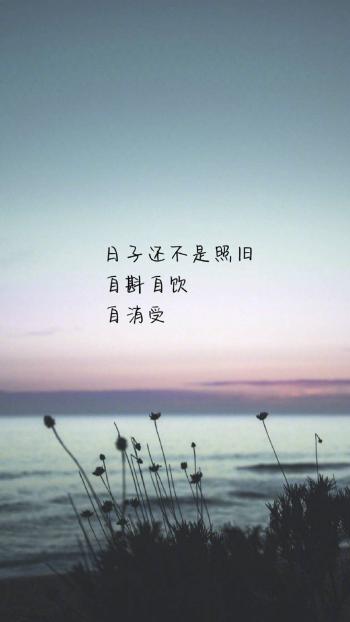 精选唯美伤感文字语录桌面壁纸第2张
