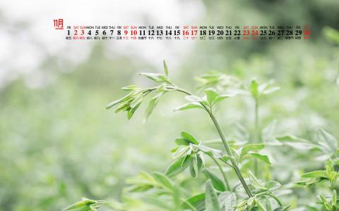 图片 _ 第(2)张