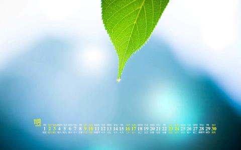 图片 _ 第(8)张
