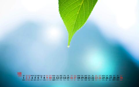 图片 _ 第(1)张