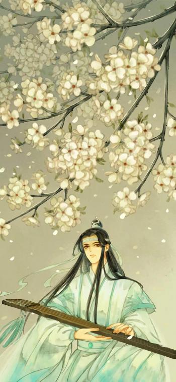 魔道祖师插画高清手机壁纸第5张