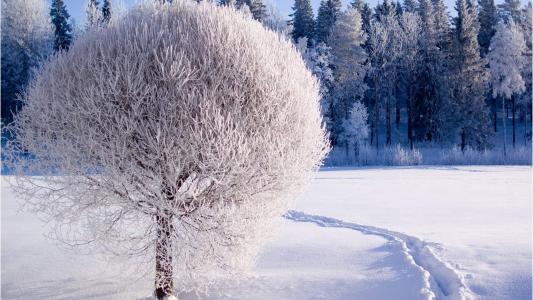 雪景图片 _ 第(5)张