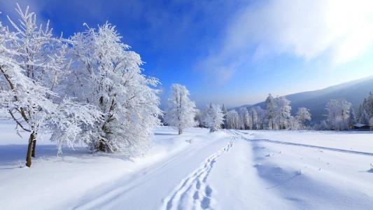 雪景图片 _ 第(9)张