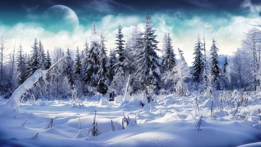 雪景图片 _ 第(11)张