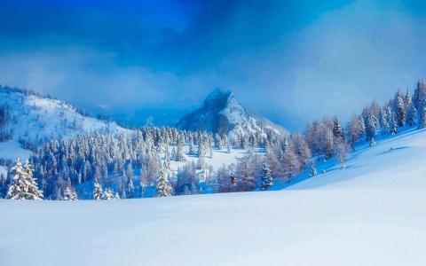 雪景图片 _ 第(5)张