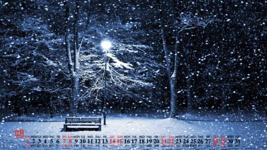 冬日雪景图片 _ 第(6)张