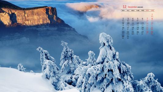冬日雪景图片 _ 第(7)张