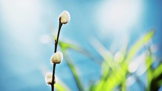 图片 _ 第(2)张