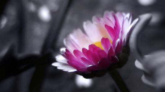 图片 _ 第(4)张