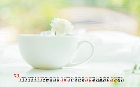 清新桌面图片 _ 第(7)张